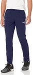 PUMA Mens Training Pant Pants - Blue - Large