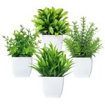 Canirologas Artificial Plants Indoor,Small Fake Simulation Plants,Faux Plastic Potted Plants,Creative Decorative Ornaments For Decoration、Bookcase、Balcony、Office、Bathroom(4PCS White)