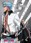 Bleach Grimmjow Ichigo Wall Scroll