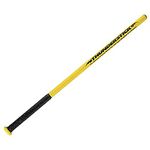 Easton Baseball Bats