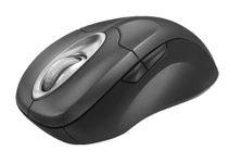 Microsoft Wireless Intellimouse Explorer with Tilt Wheel