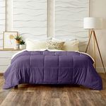 Cosy House Collection Luxury Down Alternative Comforter - Blend of Rayon Derived from Bamboo - Dorm Room Essentials - All Season Use - Box Stitch Construction & Duvet Loops (Twin/Twin XL, Purple)