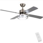 Ceiling Fans Contemporary