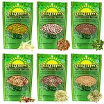 Mumm's Sprouting Seeds - Starter Sample Pack - 625 GR - Organic Sprout Seed Kit - Broccoli, Radish, Alfalfa, Mung Bean