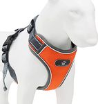 Reflector Vests For Dogs