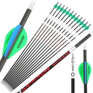 ZSHJGJR 31" Luminous Pure Carbon Arrows 300 350 400 500 600 Spine Hunting Arrows with 2" Vanes Removable Tips Targeting Arrows for Compound&Recurve&Long Bow 6/12pcs (Green & Blue, Spine 300-6pcs)