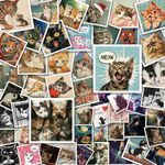 100 Pack Cat Stickers, Cat Water Bottle Stickers, Cat Vinyl Stickers for Laptop, Phone, Car, Water Bottle, Funny Meme Cat stickers