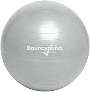 Weighted Ball Seat (Small, Silver)