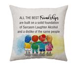 Aconesong Funny Gag Gift for Best Friends Women Cushion Cover Throw Pillow Cover Presents for Best Friends Friendship Pillowcase Birthday Graduation Gifts (Friendships)