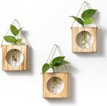 · GARDEN REPUBLIC · Propagation Stations Set of 3 - Propagation Vases for Plants - Hanging Wooden Wall Planter and Glass Test Tubes - Indoor Plant Holder, Hydroponic Decor