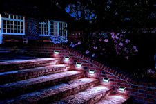 Landscape Lighting For Steps