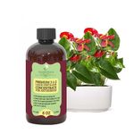 Premium Liquid ANTHURIUM Plant Fertilizer - 3-1-2 Concentrate for Indoor Plants and Flowers by GardenNova | Organic Plant Food for Anthurium Plants - 8oz