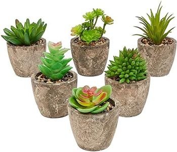 Juvale 6 Pack Artificial Succulent Plants with Pots for Office Desk, Faux Indoor Mini Cactus Decor for Home, Bedroom (2.7 to 4 in)