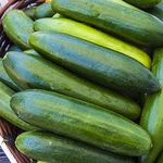 Park Seed Sir Crunch a Lot Hybrid Cucumber Seeds, Pack of 15 Seeds