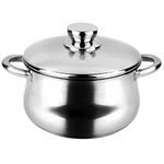 Fagor 78596 Stainless Steel Silverinox Pot + Lid, Multicoloured, D 24 cm, Steel