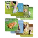 8 Pooping Dogs Funny Coasters for Drinks - Absorbent Cork Base Home Decor Coaster Set for Tabletop Protection, Dog Decor for Dog Lovers, Hilarious Drink Coasters Set Gag