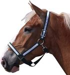 Intrepid International Draft Horse Nylon Halters with Overlay, Green/White