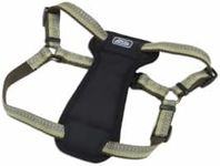 Coastal Pet K9 Explorer Reflective Adjustable Padded Dog Harness - Plush Chest Pad for Comfort - No-Pull Dog Harness for Small and Large Dogs - Fern - 1" x 26"-38", Large