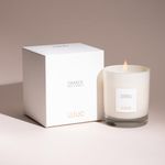 LUUC Oaxaca (Suede Tuberose) Organic Perfume Candle | Luxury Scented Candle Gift for Men & Women | Home Fragrance | Natural Soy Wax Aromatherapy | 45 Hr Long Burning