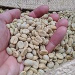 Rounton Coffee Roasters | 1kg Green Unroasted Coffee Beans from Colombia | Home or Business Coffee Roasting | 100% Arabica Specialty Grade Raw Coffee Beans