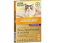 Advocate for Cats for Cats Over 4Kg