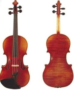 D Z Strad 