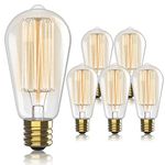 Hudson Vintage Incandescent Edison Light Bulbs 60W - E26/E27 Base 2100K Dimmable Decorative Lightbulbs - ST64 Style Warm Light - Antique Squirrel Filament Vintage Light Bulb for Outdoor and Indoor