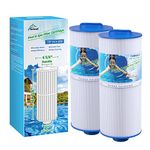 TOREAD 6CH-960 Spa Filter Replaces Jacuzzi Filters J-300, J400, PJW60TL-F2S, 14081, 6000-383A, Unicel 6CH-960, Filbur FC-2800, 6540-383, Hot Tub Filter with Closed Handle 2 Pack (Not be Removed)