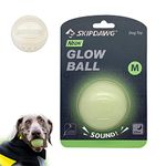 SKIPDAWG Neon Glow Dog Ball, Light Up Dog Ball Glow in The Dark, Dog Toys Squeaky Balls Durable TPR Light Weight, Night Glowing Fetch Ball/Exercise Ball for Dogs Size 2.5 Inches