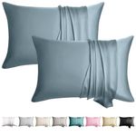 WLOSJ 100% Silk Pillowcase for Hair and Skin Toddler Size 2 Pack Mulberry Silk Pillow Case 14 x 19 Inches Highest 6A Silk Kids/Travel Pillow Cover Soft Breathable Cooling with Hidden Zipper, Grey Blue