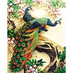 TULIP N TURTLE Peacock Diy Acrylic Paint By Number Kit For Adults Kids Beginner Number Painting Kit Diy Canvas Painting By Number. Wall Decoration Diy Painting Kit For Adults, Multicolor