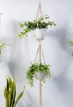 ecofynd Cotton Rope 2 Pot Flower Plant Hanger (M16, Ivory, 59 Inches)