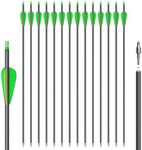 NorthSpoor 31" Carbon Archery Arrow