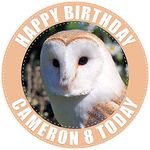 Barn Owl Bird of Prey - Any Size (4in - 7.5in) Personalised Edible Cake Topper on Premium Icing