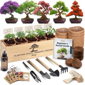 AVERGO Bonsai Tree Kit Deluxe - 5X Unique Japanese Bonzai Trees | Complete Indoor Bonsai Starter Kits for Growing Trees – DIY Gardening Gifts for Mother, Women & Men