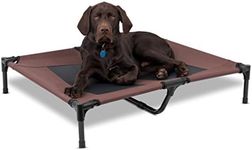 Internet's Best BIRDROCK Home Dog C