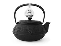 Iwachu Cast Iron Teapot Japanese Kyusu Ginkgo Original Black 650 ml 0.65 Litre Stainless Steel Sieve Insert Enamelled Inside, All Types of Tea