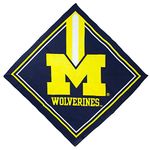 Littlearth NCAA Michigan Wolverines Fandana Bandana