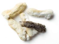 Loyalty Dog Treats, Rabbit Feet, Fully Natural, Single Ingredient, Canadian, Dehydrated Dog Treat, (1000g)