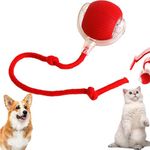 YGYZKJSD Rolling Ball,Interactive Rolling Dog Ball,Ball for Dogs,Interactive Dog Smart Ball Toy,Interactive Cat Ball Toy, 360° Smart Automatic Rolling Pet Ball (Red)