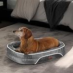 OhGeni Orthopedic Dog Bed for Small