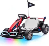 Wanan 36V Electric Go Kart with Adj