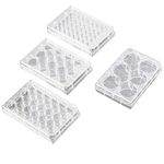 20PCS Tissue Culture Plate, 6/12 / 24/48 Holes Polystyrene Cell Culture Petri Dish for Lab Experiment Instrument