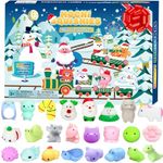 PANSHAN Christmas Fidget Advent Calendar 2024 Soft Rubber Toy Christmas Advent Calendars Gift 24Pcs for Kids Kawaii Animals Santas Toys Xmas Countdown Calendar