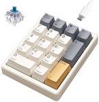 Kisnt Number Pad, Mechanical Numpad Wired USB Standard 17 Keys Hot-Swappable Numeric Keypad with PBT Keycaps White Backlit Keypad for Laptop PC TKL Keyboards(Blue Switch)