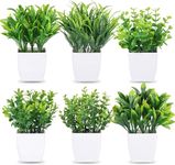 Litleo Plastic Small Eucalyptus Potted Faux Decorative Grass Plant With White Pot For Home Decor, Indoor, Office, Desk, Shelf, Table Decoration (Pack Of 6)