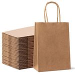 Paper Gift Bags