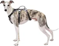 Huntboo Escape Proof Dog Harness, S