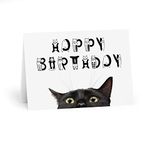 RuxandCip - Birthday Card with a Black Cat - Cute Greeting Card with Cat - Card for Cat Lovers - Happy Birthday Cat Font (6 x 8 inch)