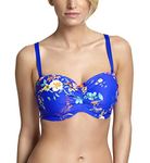 Panache Swim Women's Florentine Molded Bandeau Bra-Sized Bikini Top - Multi - 32D